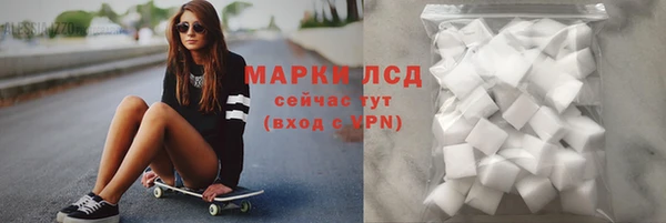 гидра Белокуриха