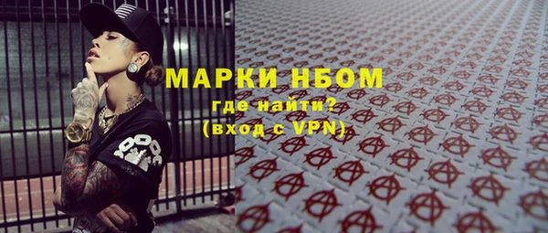 гидра Белокуриха