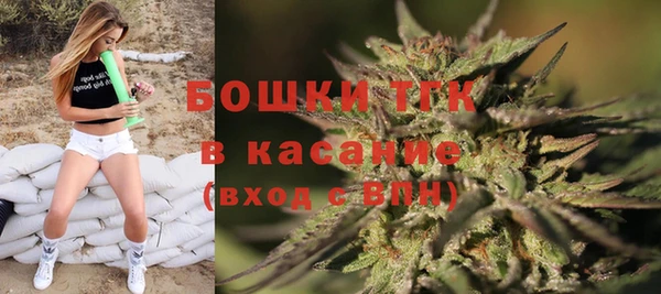 гидра Белокуриха
