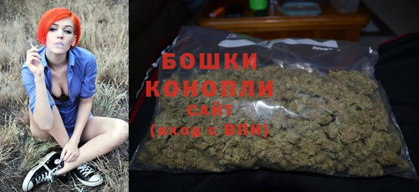 альфа пвп Сосновоборск