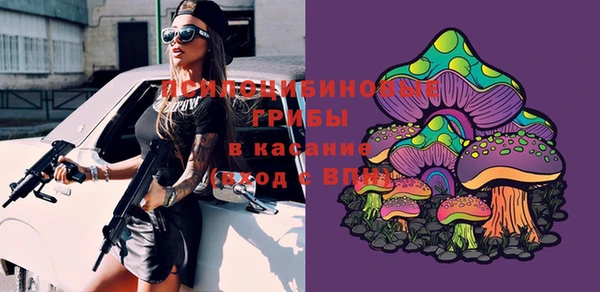 гидра Белокуриха